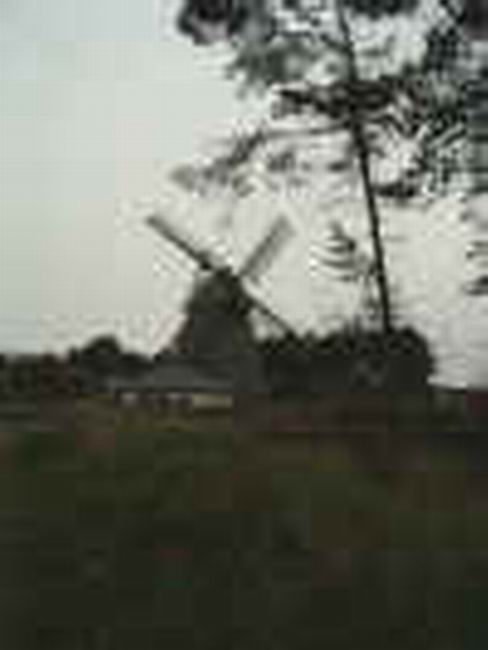 IMGP5486.JPG (121101 Byte)