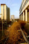 gildehof24.JPG (241273 Byte)