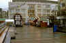 kennedypl02.JPG (542783 Byte)