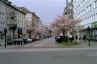 ruettenscheider.JPG (569634 Byte)
